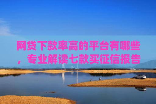 网贷下款率高的平台有哪些，专业解读七款买征信报告费必下款的app