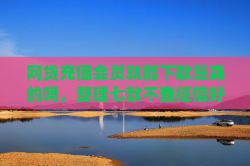 网贷充值会员就能下款是真的吗，整理七款不查征信好下款的app