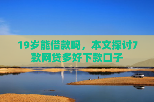 19岁能借款吗，本文探讨7款网贷多好下款口子