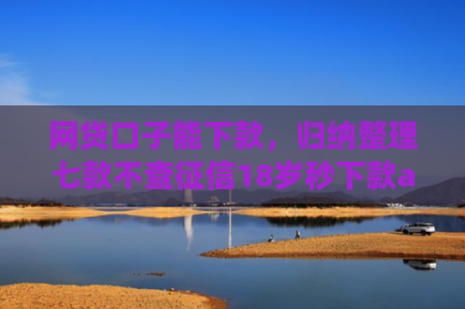 网贷口子能下款，归纳整理七款不查征信18岁秒下款app