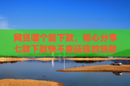 网贷哪个能下款，精心分享七款下款快不查征信的贷款app
