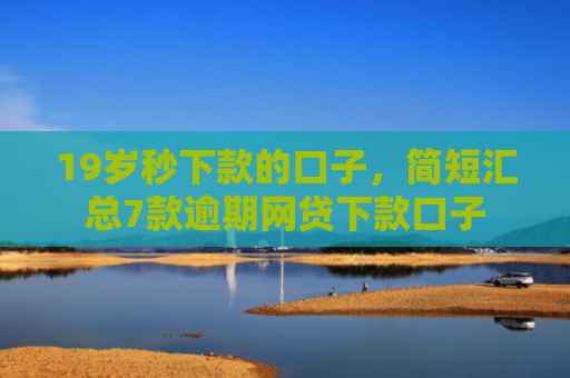 19岁秒下款的口子，简短汇总7款逾期网贷下款口子