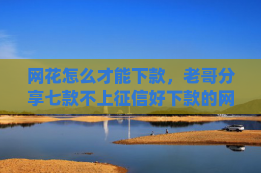 网花怎么才能下款，老哥分享七款不上征信好下款的网贷app
