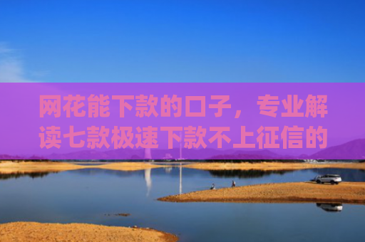网花能下款的口子，专业解读七款极速下款不上征信的app有什么