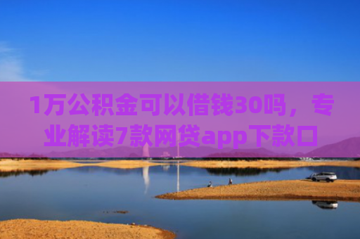 1万公积金可以借钱30吗，专业解读7款网贷app下款口子