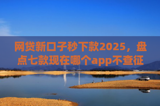 网贷新口子秒下款2025，盘点七款现在哪个app不查征信还能下款
