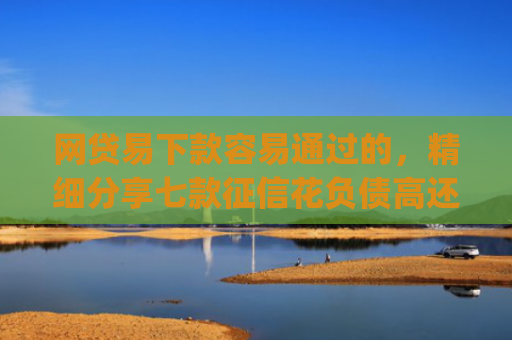 网贷易下款容易通过的，精细分享七款征信花负债高还能下款的App