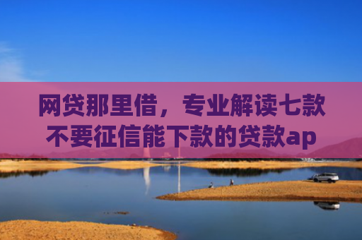 网贷那里借，专业解读七款不要征信能下款的贷款app