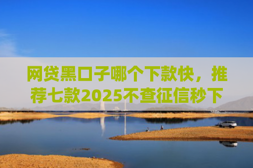 网贷黑口子哪个下款快，推荐七款2025不查征信秒下款app