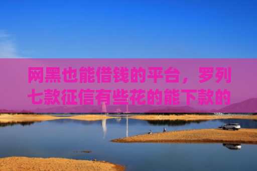 网黑也能借钱的平台，罗列七款征信有些花的能下款的小额app