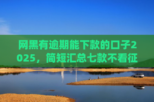 网黑有逾期能下款的口子2025，简短汇总七款不看征信能下款的app2025年