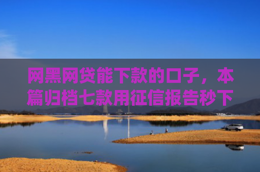 网黑网贷能下款的口子，本篇归档七款用征信报告秒下款的app6