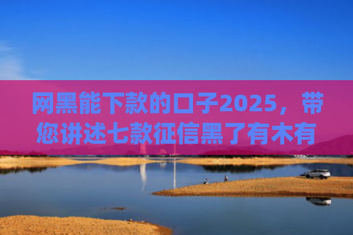 网黑能下款的口子2025，带您讲述七款征信黑了有木有能下款的app
