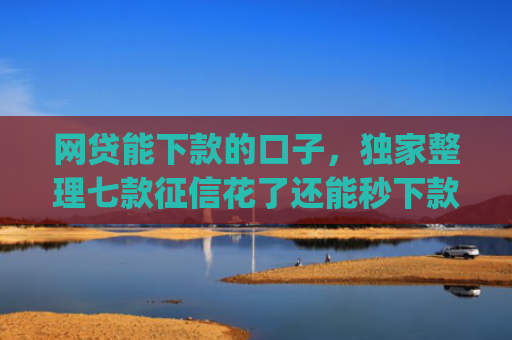 网贷能下款的口子，独家整理七款征信花了还能秒下款的app