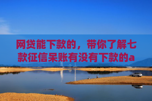 网贷能下款的，带你了解七款征信呆账有没有下款的app