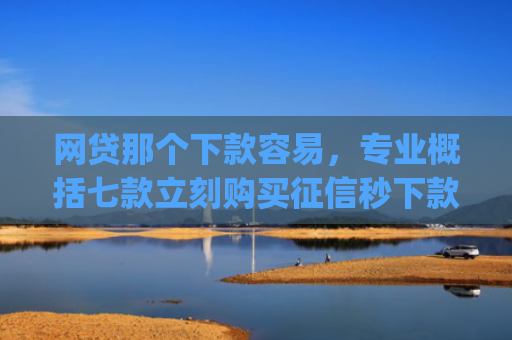 网贷那个下款容易，专业概括七款立刻购买征信秒下款的app