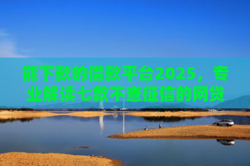 能下款的借款平台2025，专业解读七款不查征信的网贷APP能下款的