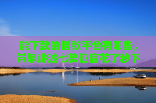 能下款的借款平台有哪些，带您讲述七款征信花了秒下款网贷能通过吗