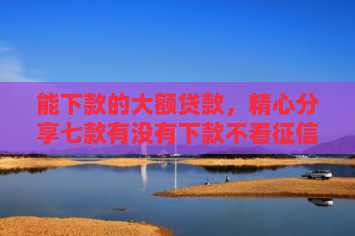 能下款的大额贷款，精心分享七款有没有下款不看征信的网贷平台