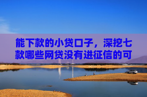 能下款的小贷口子，深挖七款哪些网贷没有进征信的可以下款