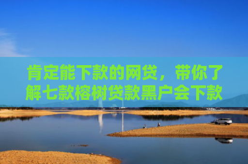 肯定能下款的网贷，带你了解七款榕树贷款黑户会下款吗