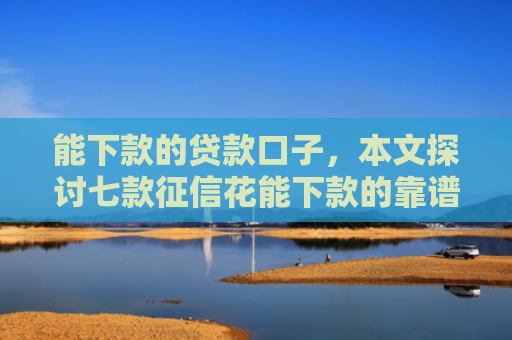 能下款的贷款口子，本文探讨七款征信花能下款的靠谱网贷