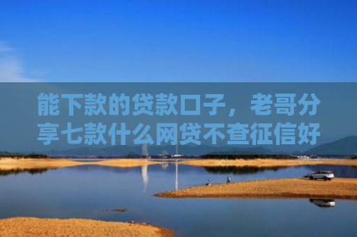 能下款的贷款口子，老哥分享七款什么网贷不查征信好下款不看年龄