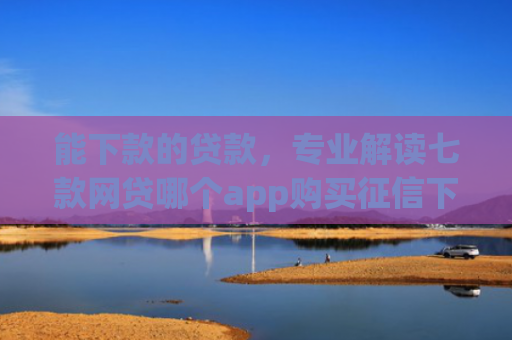 能下款的贷款，专业解读七款网贷哪个app购买征信下款的6