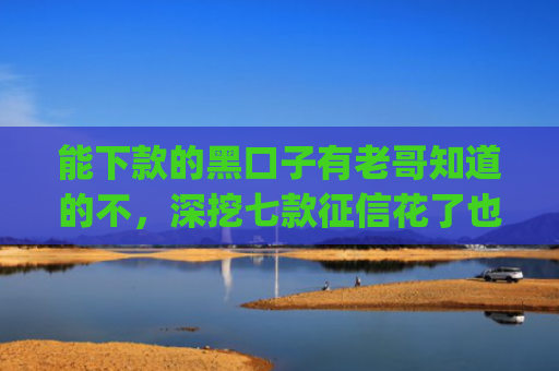 能下款的黑口子有老哥知道的不，深挖七款征信花了也能下款的网贷app