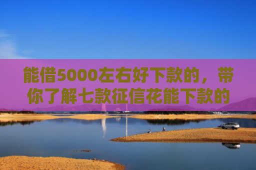 能借5000左右好下款的，带你了解七款征信花能下款的大额网贷