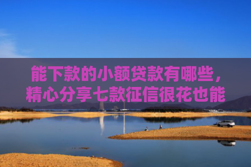能下款的小额贷款有哪些，精心分享七款征信很花也能稳下款的正规网贷