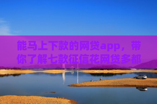 能马上下款的网贷app，带你了解七款征信花网贷多都不下款