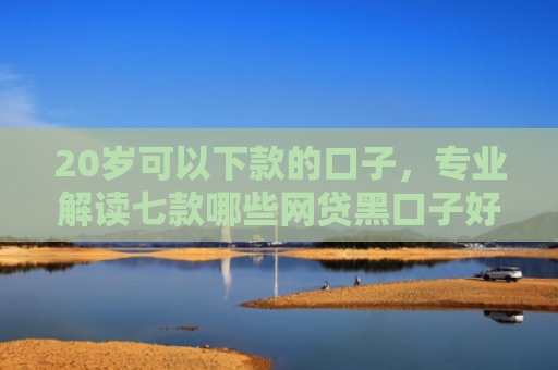 20岁可以下款的口子，专业解读七款哪些网贷黑口子好下款