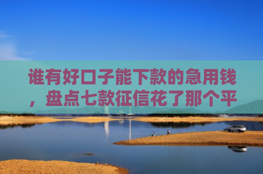 谁有好口子能下款的急用钱，盘点七款征信花了那个平台还可以下款
