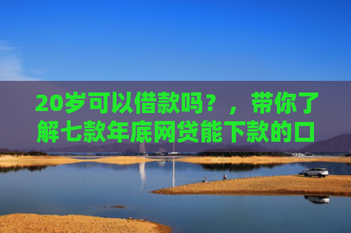 20岁可以借款吗？，带你了解七款年底网贷能下款的口子