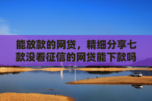能放款的网贷，精细分享七款没看征信的网贷能下款吗