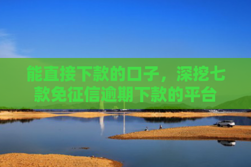 能直接下款的口子，深挖七款免征信逾期下款的平台