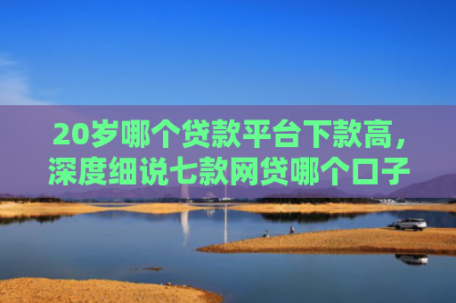 20岁哪个贷款平台下款高，深度细说七款网贷哪个口子下款率高