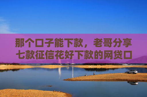 那个口子能下款，老哥分享七款征信花好下款的网贷口子