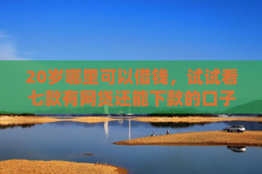 20岁哪里可以借钱，试试看七款有网贷还能下款的口子