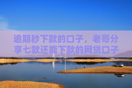 逾期秒下款的口子，老哥分享七款还能下款的网贷口子多么
