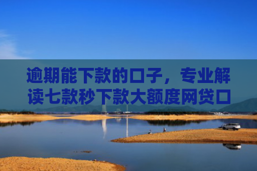 逾期能下款的口子，专业解读七款秒下款大额度网贷口子