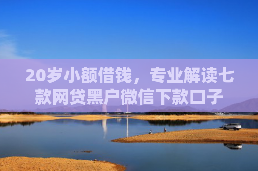 20岁小额借钱，专业解读七款网贷黑户微信下款口子