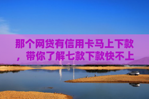 那个网贷有信用卡马上下款，带你了解七款下款快不上征信网贷平台