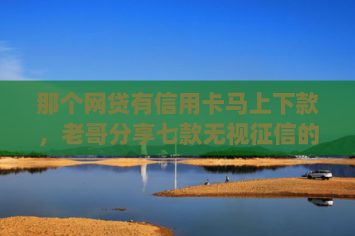 那个网贷有信用卡马上下款，老哥分享七款无视征信的网贷必下款app