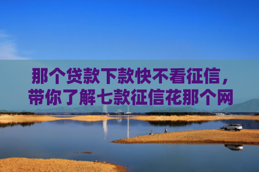 那个贷款下款快不看征信，带你了解七款征信花那个网贷能下款