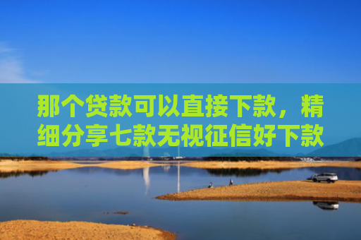 那个贷款可以直接下款，精细分享七款无视征信好下款的网贷