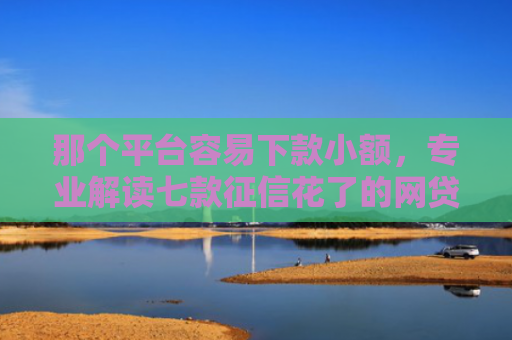那个平台容易下款小额，专业解读七款征信花了的网贷能下款吗