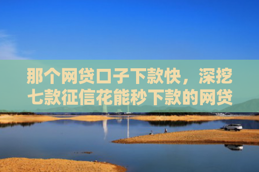 那个网贷口子下款快，深挖七款征信花能秒下款的网贷