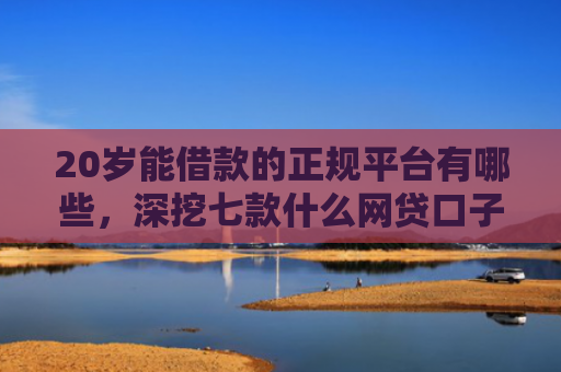 20岁能借款的正规平台有哪些，深挖七款什么网贷口子好下款的